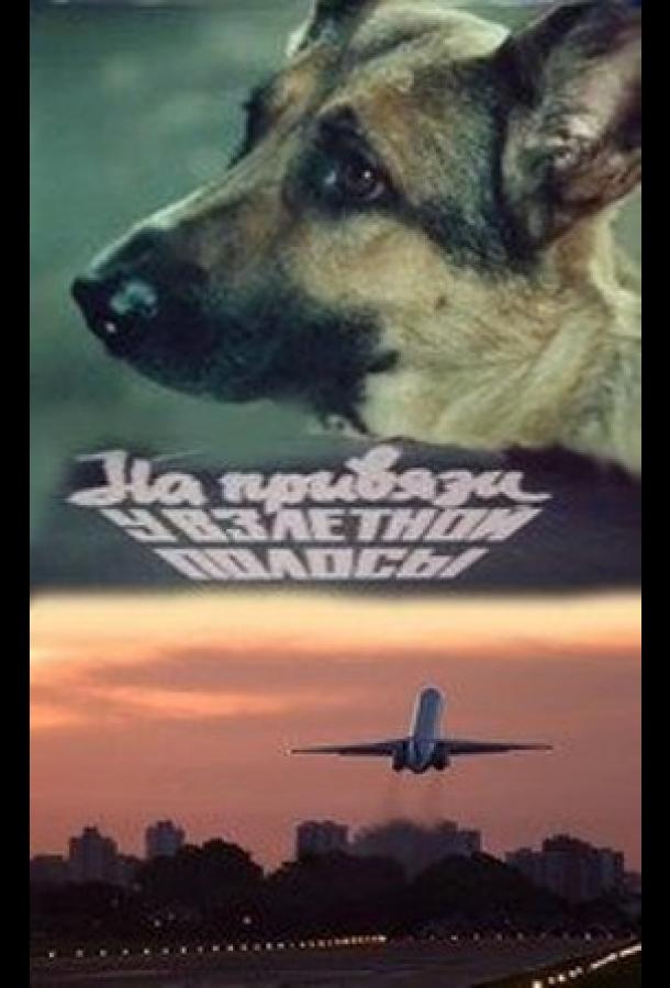 Постер к На привязи у взлетной полосы (1989)